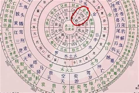 八字日元意思|八字日元是什么意思？认识你的命格核心！